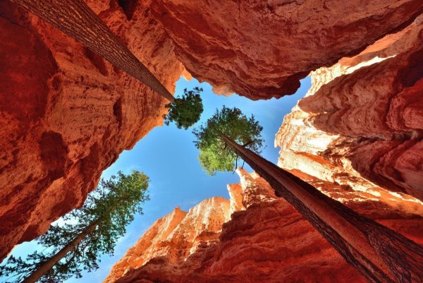 Чифен Китай природа