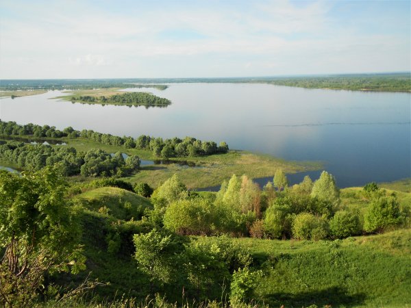 Птичий полет Козловка Чувашия
