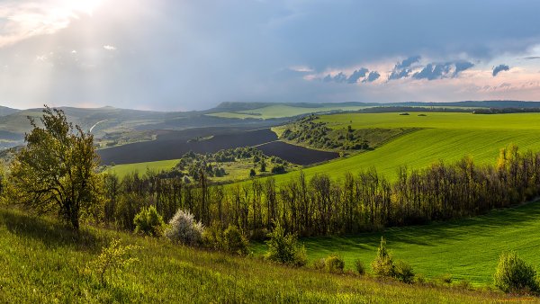 Холмы Красноярского края