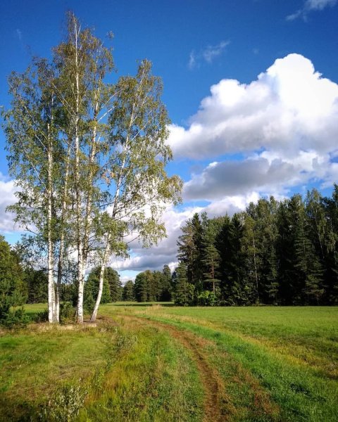 Красота русской природы