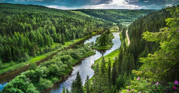 Реки в тайге Пермского края