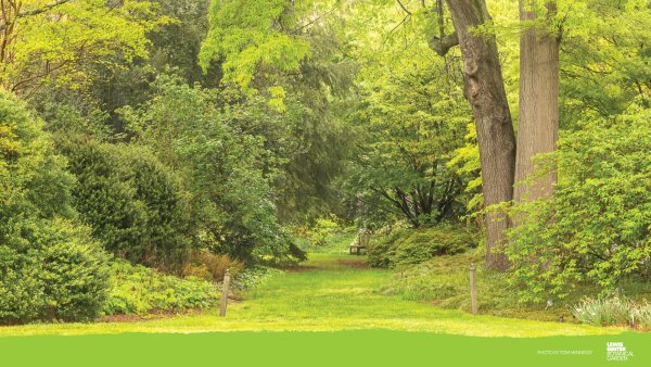 Визуализация природы