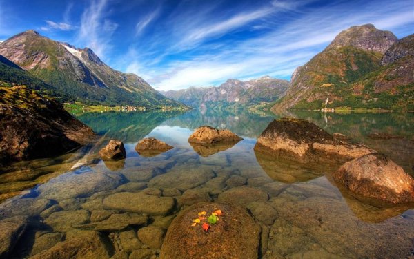 Живая природа. В горах