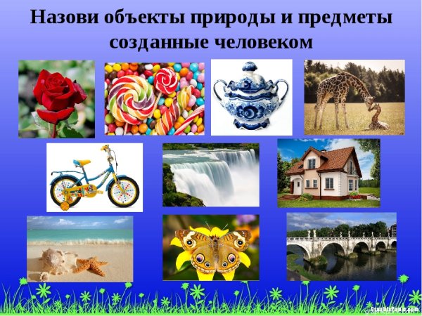 Предметы созданные человеком и предметы созданные природой