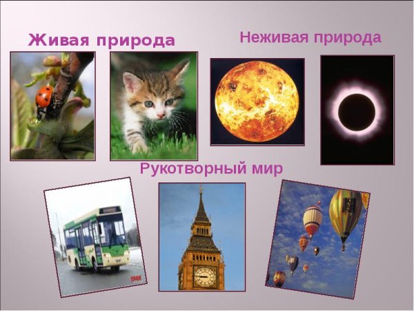 Природа и предметы созданные человеком