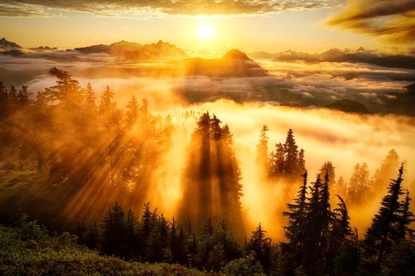 Красивая яркая природа
