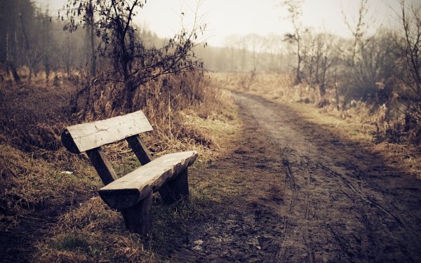 Скамья Bench 900