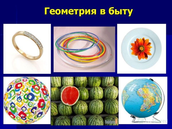 Геометрические фигуры в природе