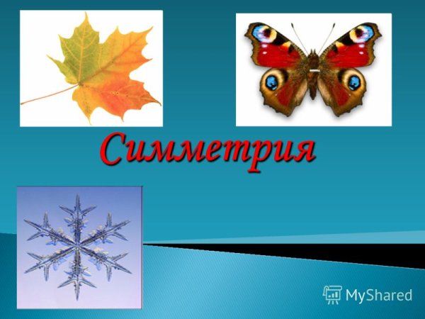 Симметрия презентация
