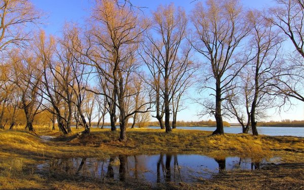 Апрель природа