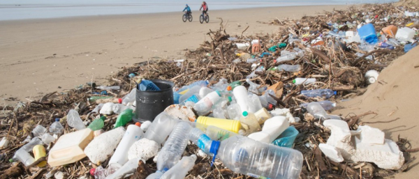 Litter on a Beach