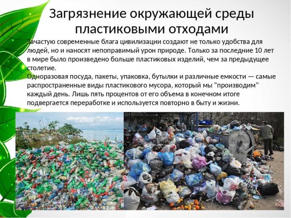 Загрязнение окружающей среды пластмассой
