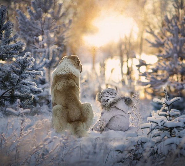 Елена Шумилова фотограф