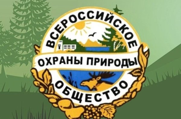 Организация ВООП