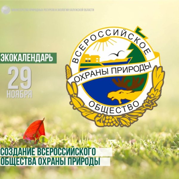Всероссийское общество охраны природы (ВООП)