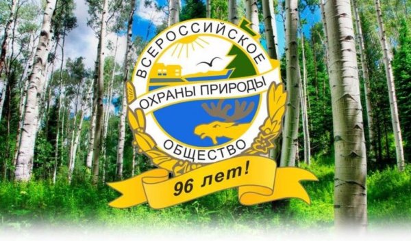 Всероссийское общество охраны природы ВООП 4 класс сообщение