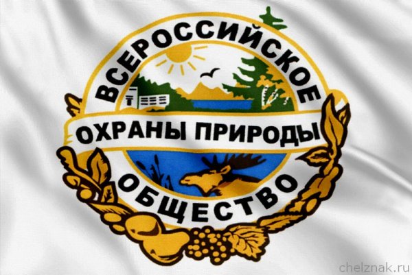 29 Ноября день создания Всероссийского общества охраны природы ВООП