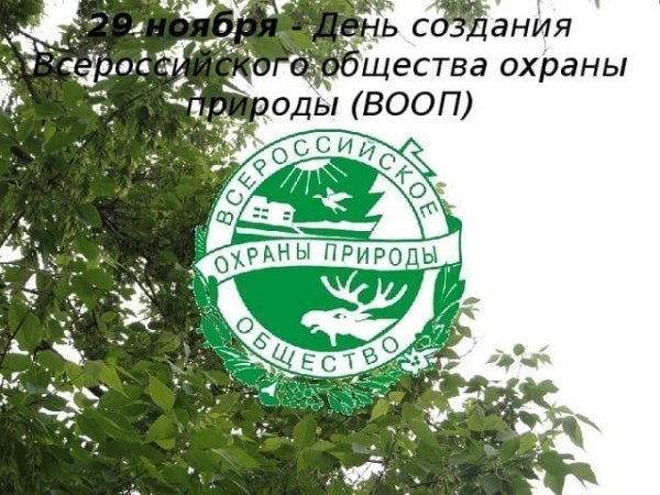 Всероссийское общество охраны природы ВООП деятельность