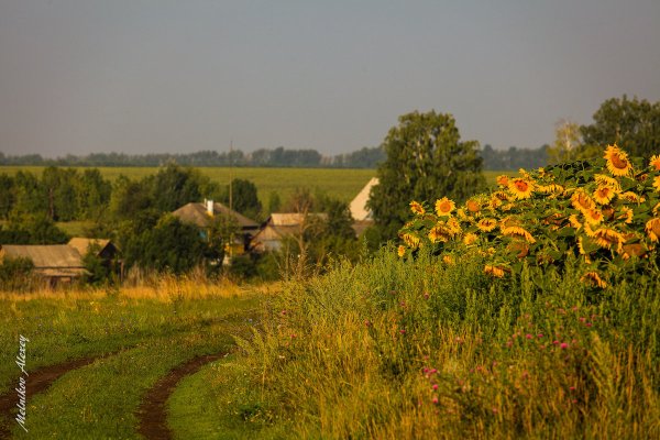Белгород природа деревня