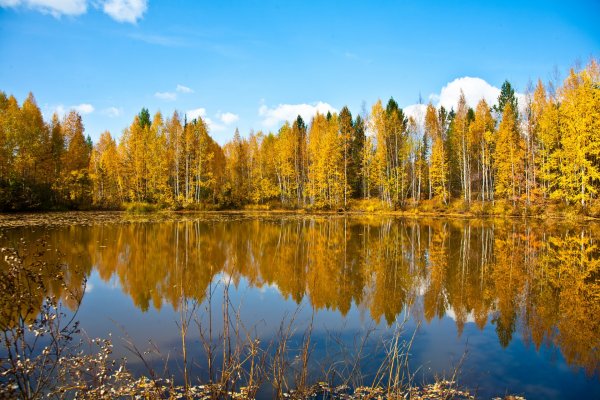 Яркий осенний пейзаж