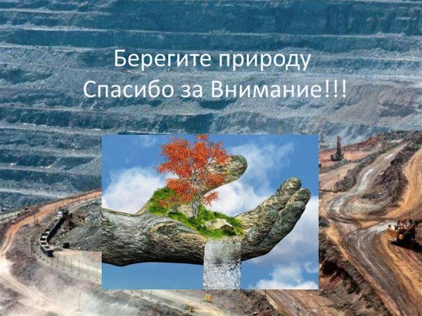 Спасибо за внимание берегите природу