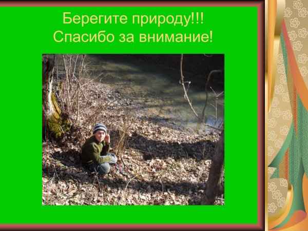 Спасибо за внимание берегите природу