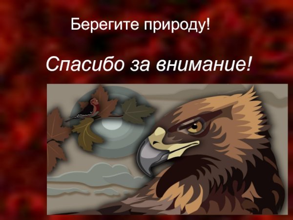 Спасибо за внимание берегите природу