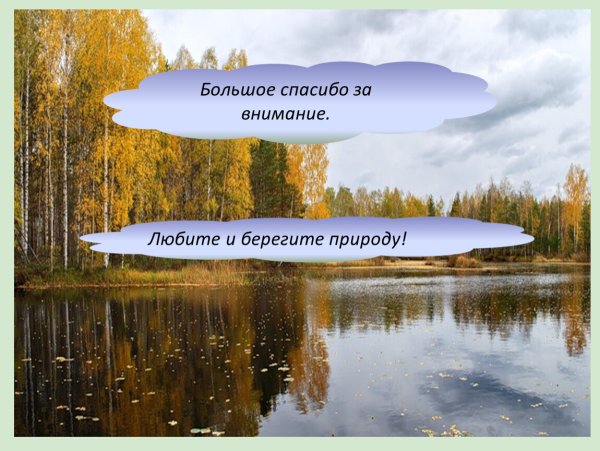 Спасибо за внимание берегите природу