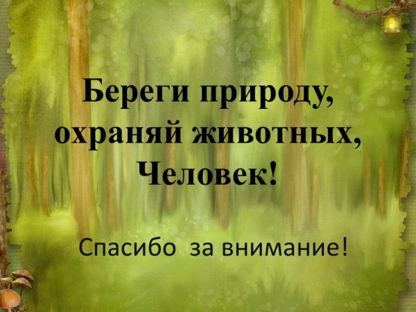 Береги природу Башкортостана