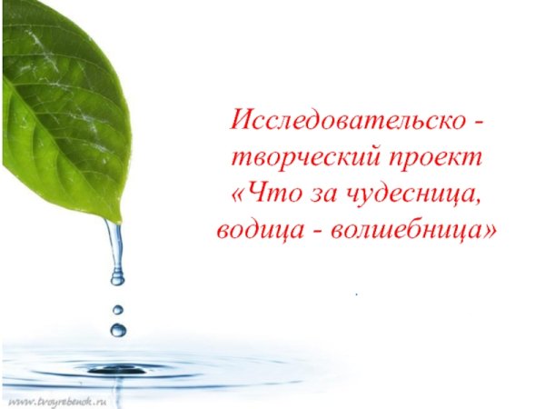 Спасибо за внимание для презентации по экологии
