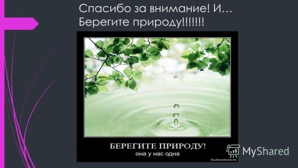 Спасибо за внимание берегите природу