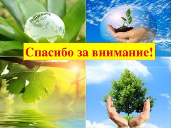 Конец презентации по экологии