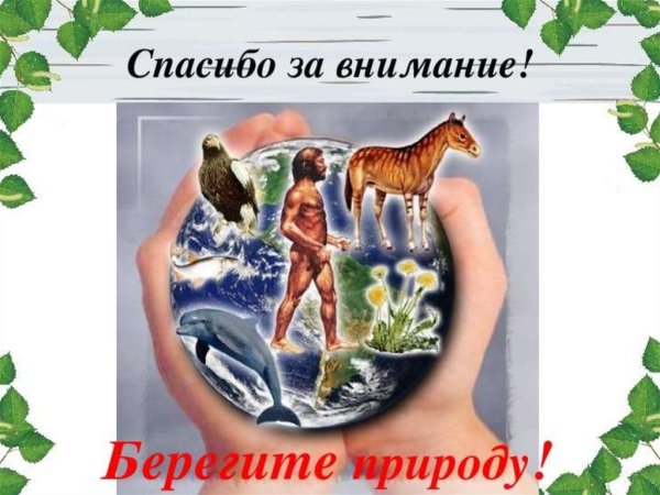 Спасибо за внимание берегите природу