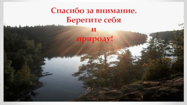 Экологический урок