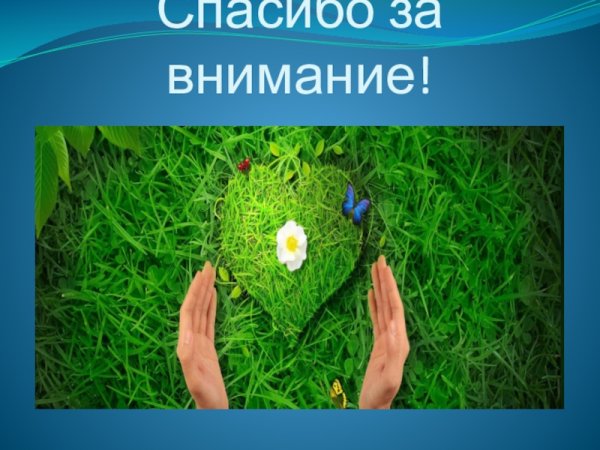 Спасибо за внимание почва