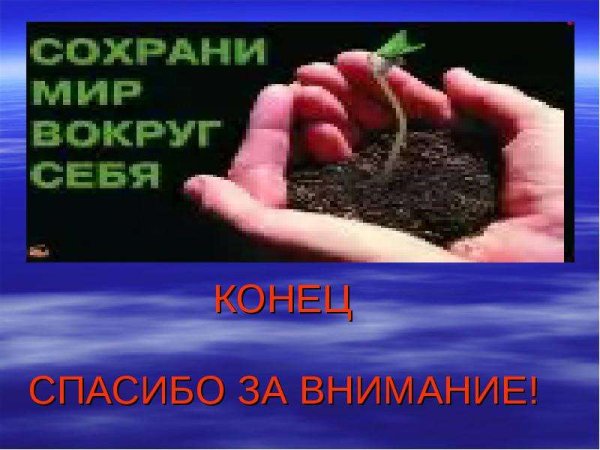 Спасибо за внимание природа