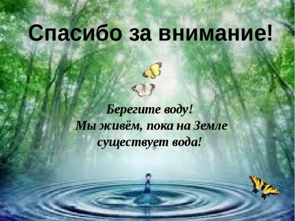 Спасибо за внимание с черепахой