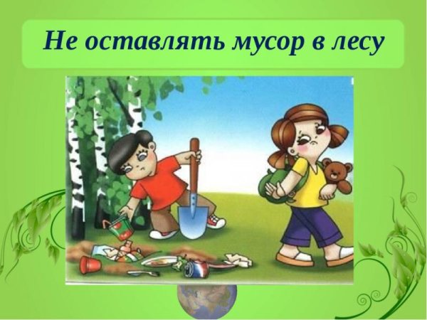 Правило нельзя мусорить в лесу