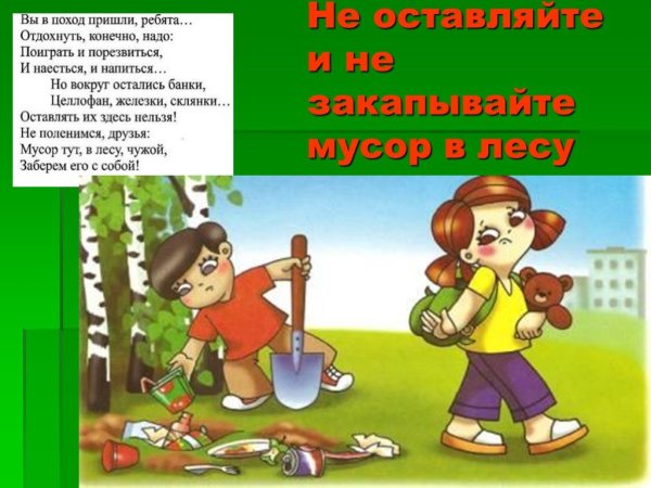 Почему нельзя мусорить в лесу для детей