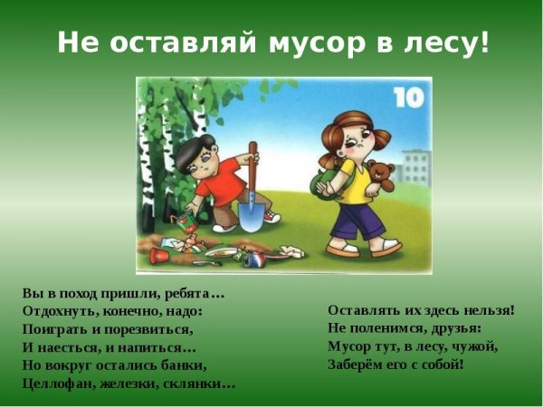 Что можно делать в лесу