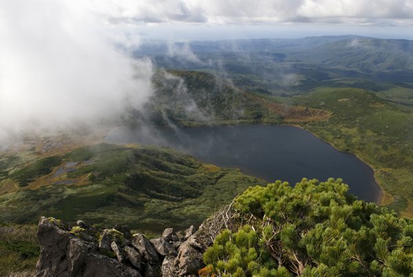 Флора Курильских островов
