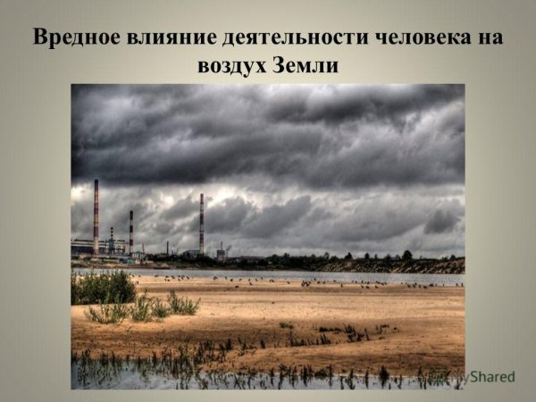 Как человек влияет на природу картинки