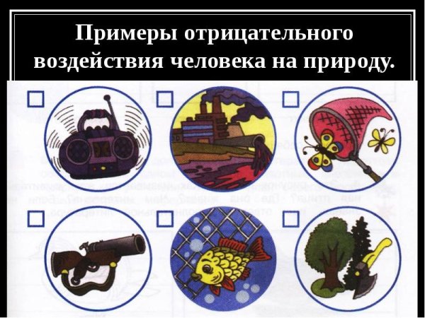 Влияние экологии на природу и человека