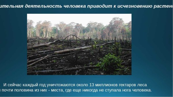 Влияние человекатна прирду