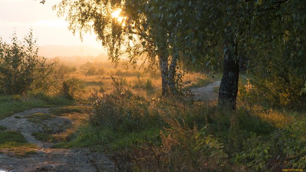 Рассвет в деревне