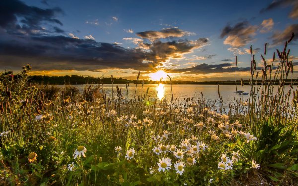 Утренний рассвет