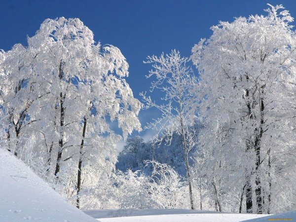 Красивая природа зимой февраль