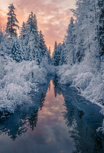 Шикарные зимние пейзажи