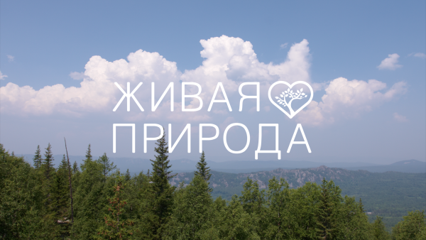 Надпись Живая природа