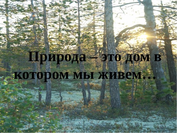 Природа это дом в котором мы живем
